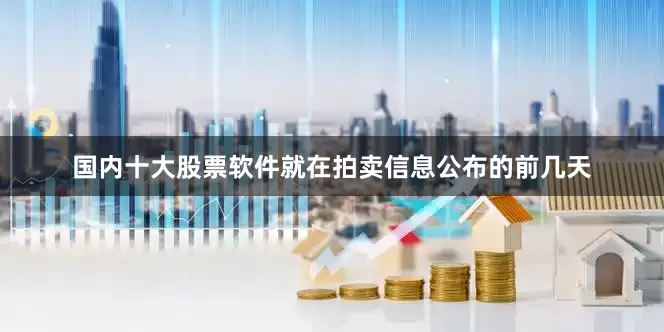 国内十大股票软件就在拍卖信息公布的前几天
