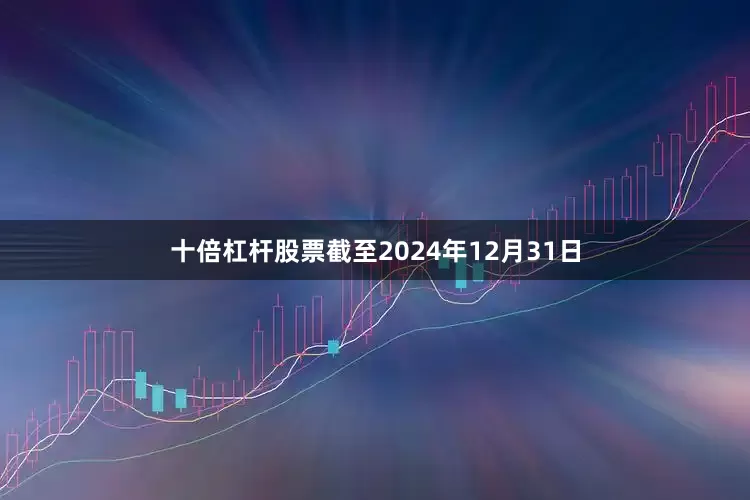 十倍杠杆股票截至2024年12月31日