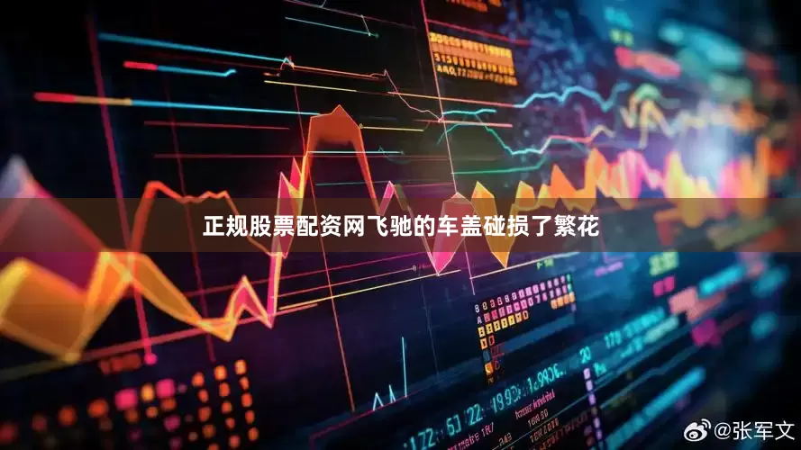 正规股票配资网飞驰的车盖碰损了繁花