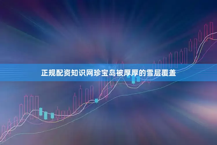 正规配资知识网珍宝岛被厚厚的雪层覆盖